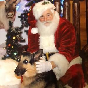 Meet your Posher, Katherine